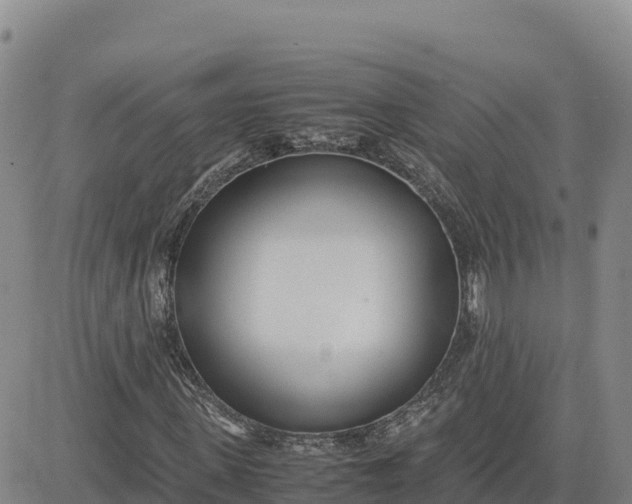 X0000080700915200612301510