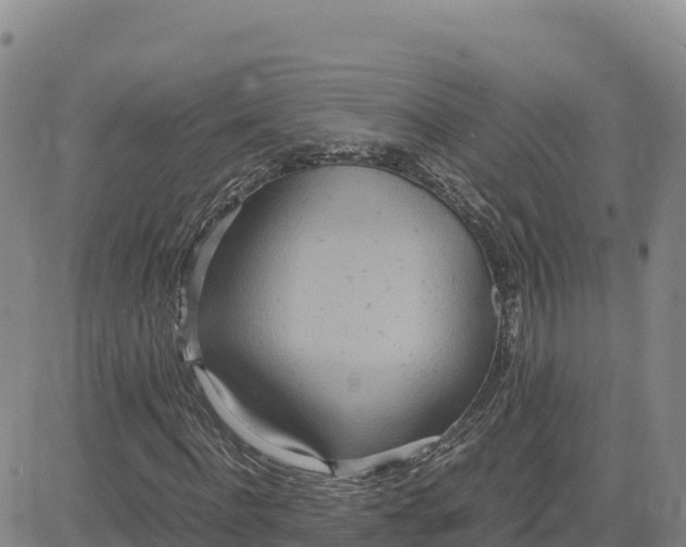 X0000080700916200612301510