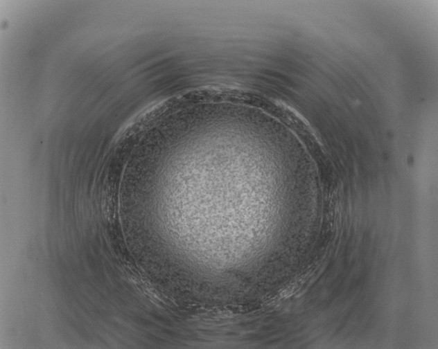 X0000080700919200612301510
