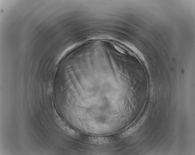 X0000080700945200612301511