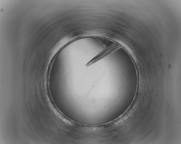 X0000080700949200612301511