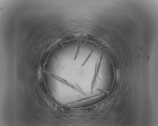 X0000080700963200612301510