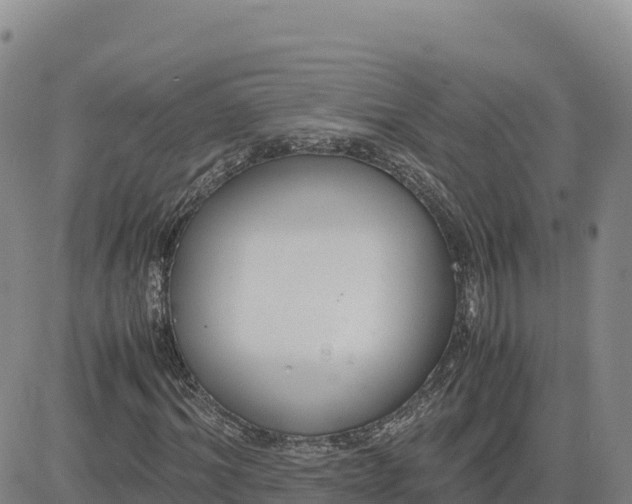 X0000080700964200612301510