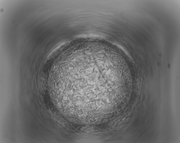 X0000080700967200612301510