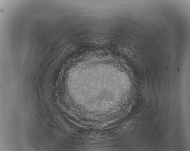 X0000080701009200612301509
