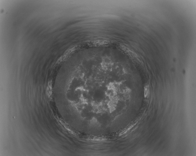 X0000080701011200612301509