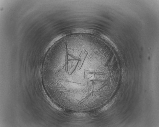 X0000080701033200612301509