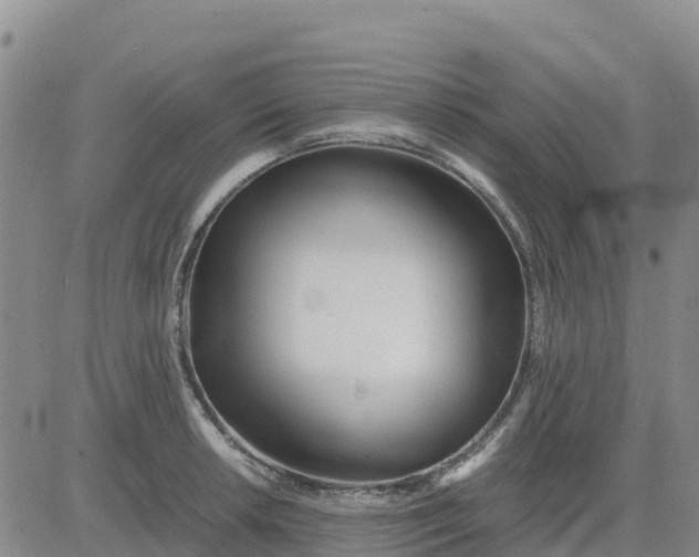 X0000080701042200612301509