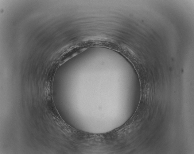 X0000080701062200612301508