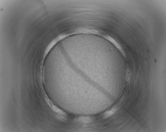 X0000080701094200612301508