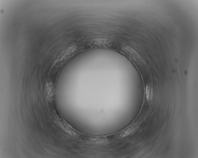 X0000080701107200612301507