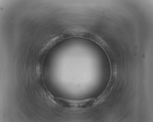 X0000080701108200612301507