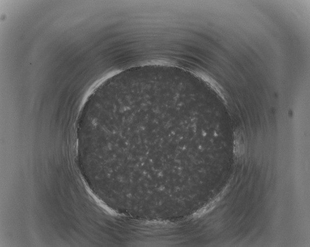 X0000080701117200612301507