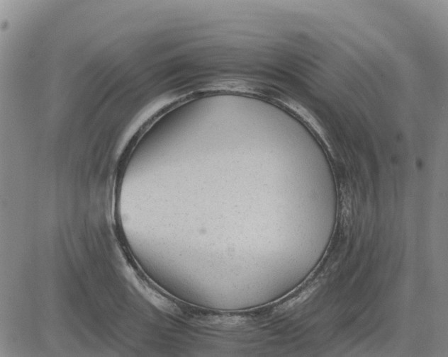 X0000080701131200612301507