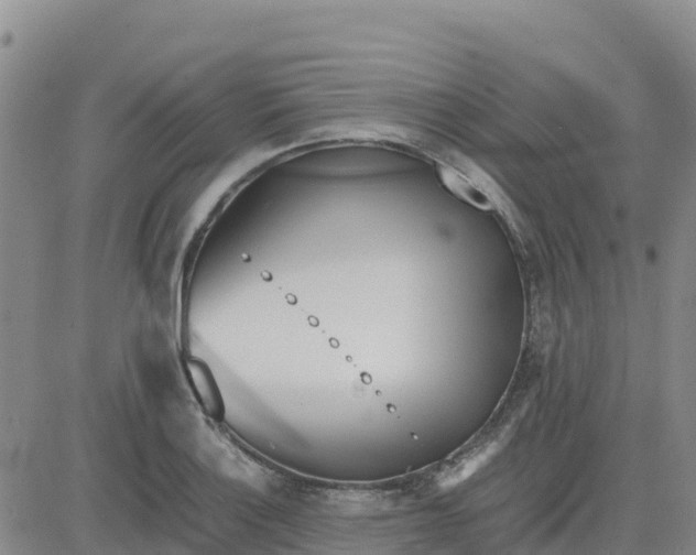 X0000080701132200612301507
