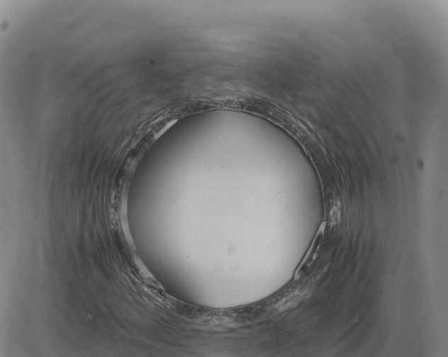 X0000080701156200612301507