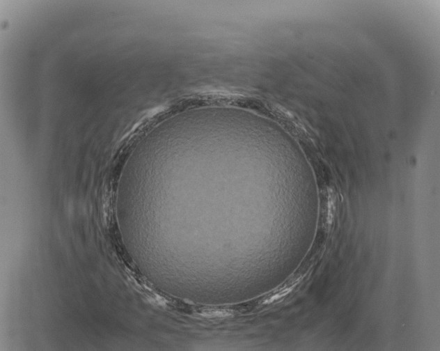 X0000080701157200612301507