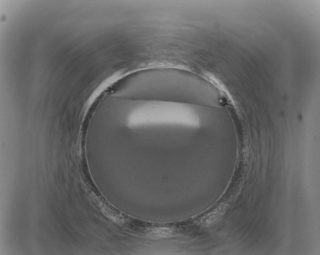 X0000080701173200612301507