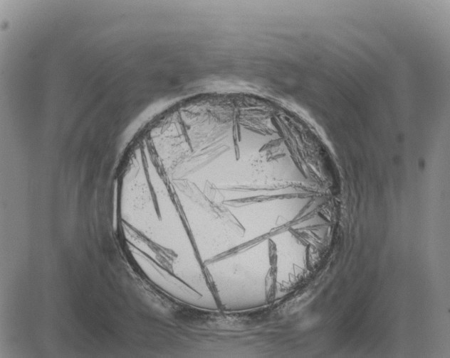 X0000080701175200612301507
