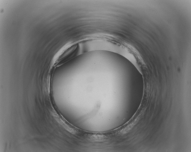 X0000080701180200612301507