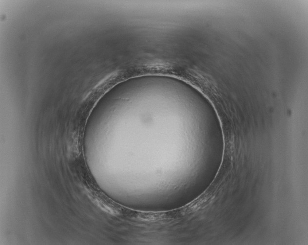 X0000080701205200612301506