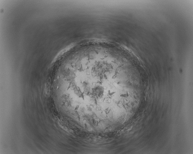 X0000080701207200612301506