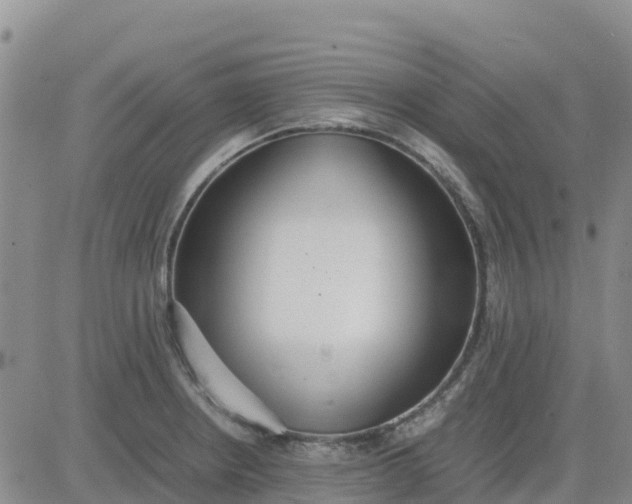 X0000080701234200612301506