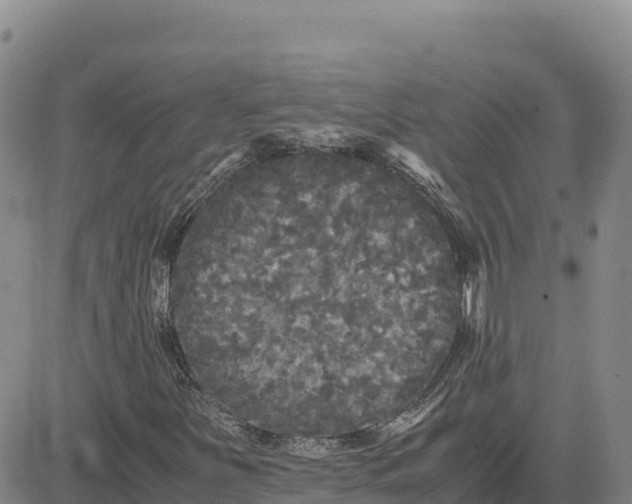 X0000080701251200612301505