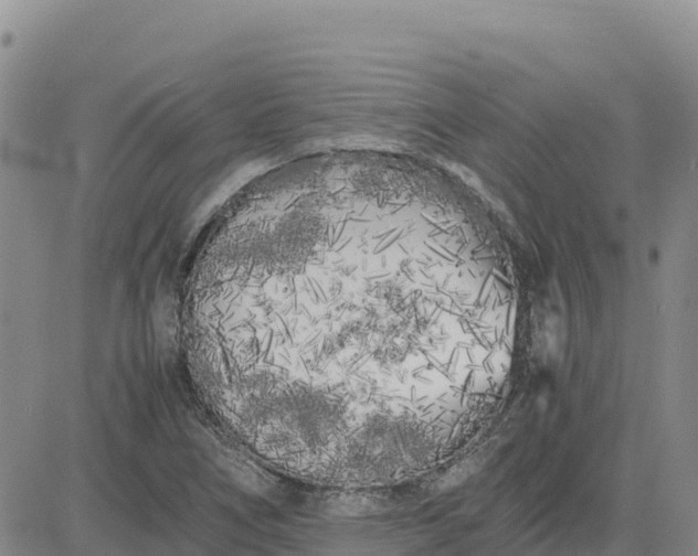 X0000080701266200612301505