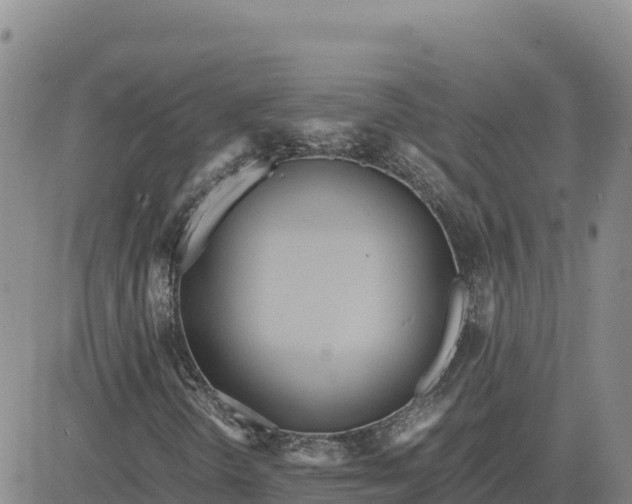 X0000080701298200612301504