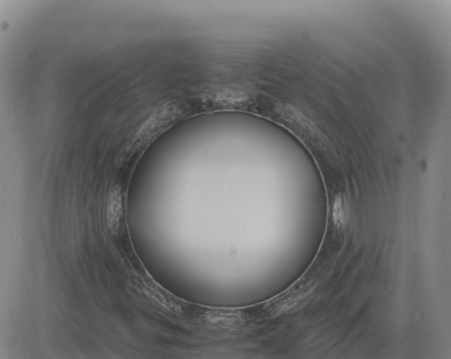 X0000080701299200612301504