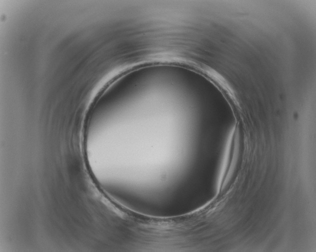 X0000080701334200612301505