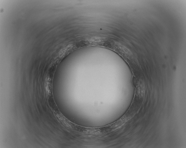 X0000080701346200612301504