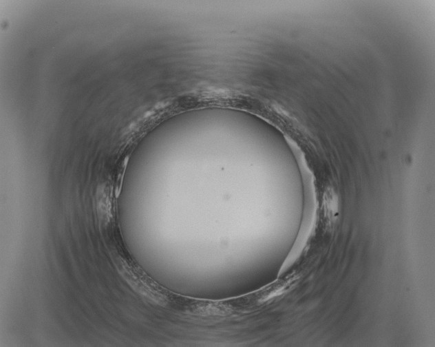X0000080701348200612301504
