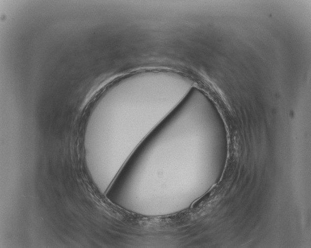 X0000080701352200612301504