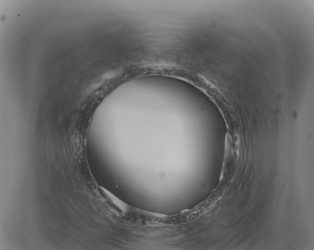 X0000080701398200612301502