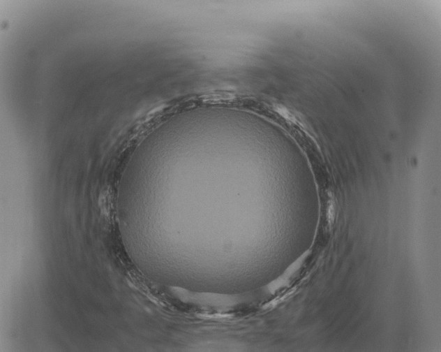 X0000080701445200612301502