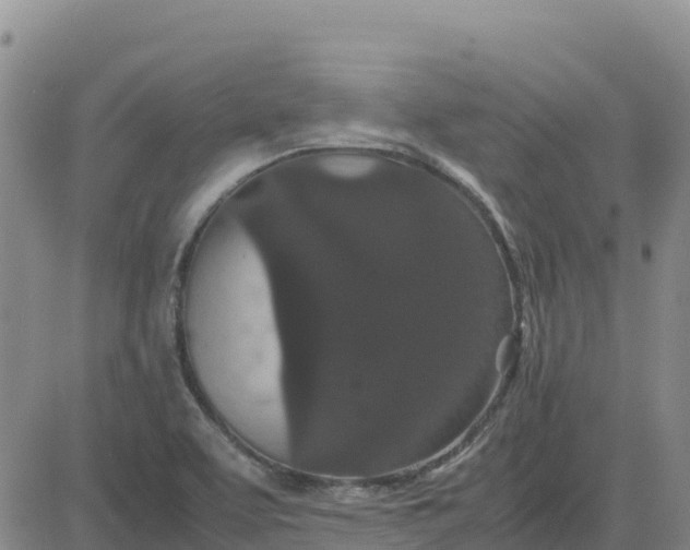 X0000080701463200612301502