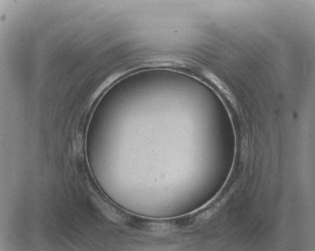 X0000080701465200612301502