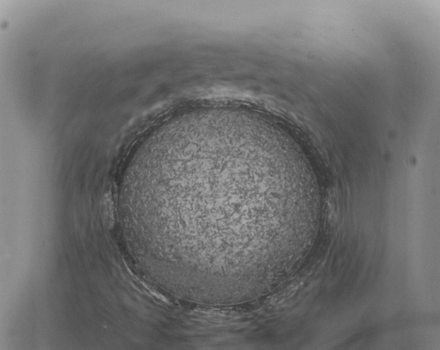 X0000080701493200612301501
