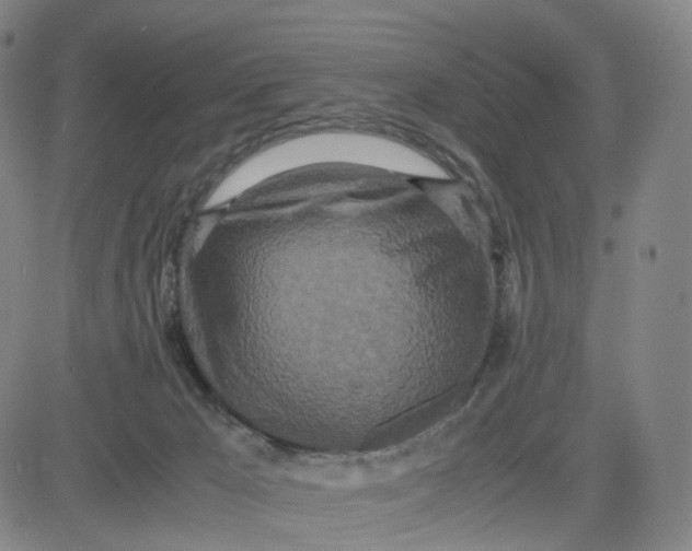 X0000080700029200701050956