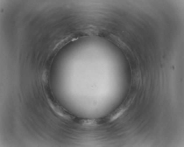 X0000080700088200701050955