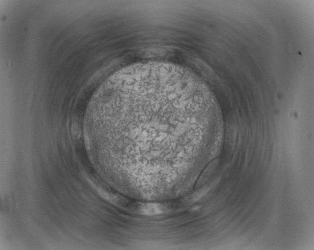 X0000080700091200701050955