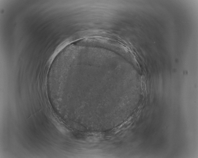 X0000080700099200701050954