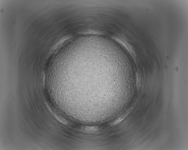 X0000080700157200701050953
