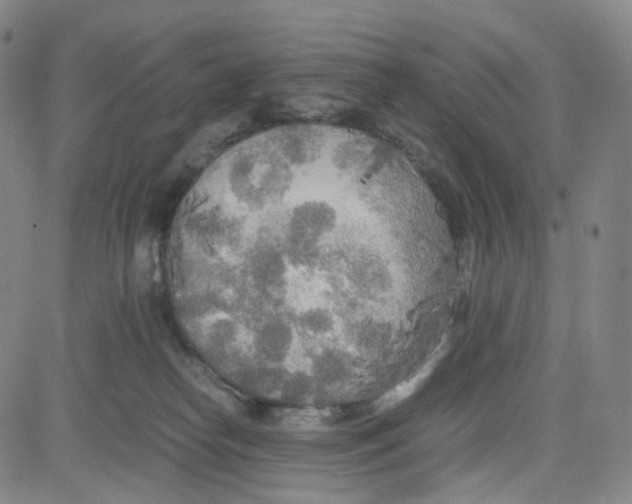 X0000080700182200701050953