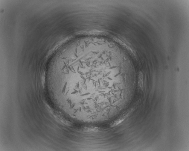 X0000080700206200701050953