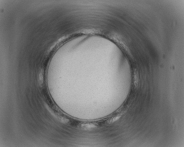 X0000080700208200701050953
