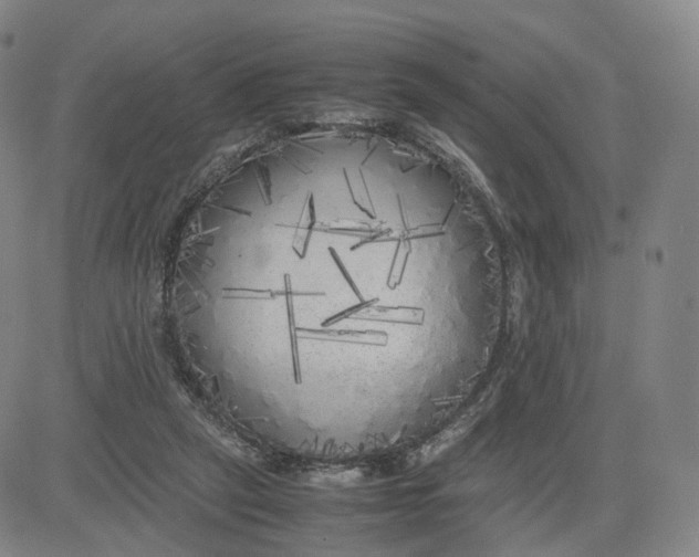 X0000080700257200701050952