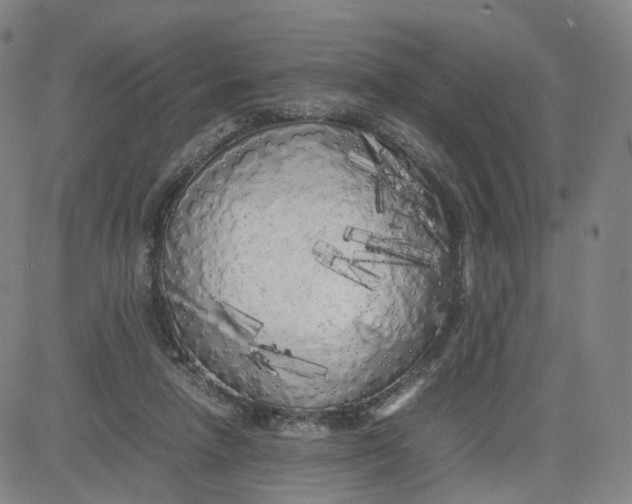 X0000080700258200701050952